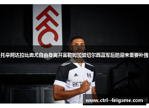 托辛阿达拉比奥尤自由身离开富勒姆加盟切尔西蓝军后防迎来重要补强